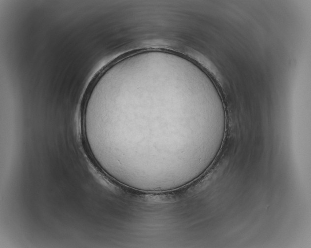 X0000111951032200908171313