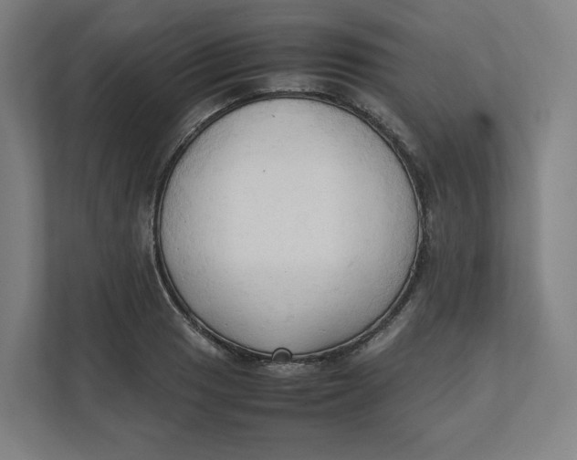 X0000111951033200908171313