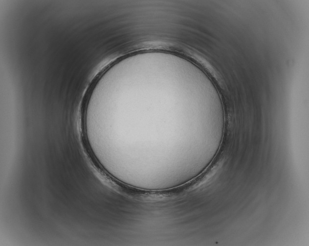 X0000111951034200908171313