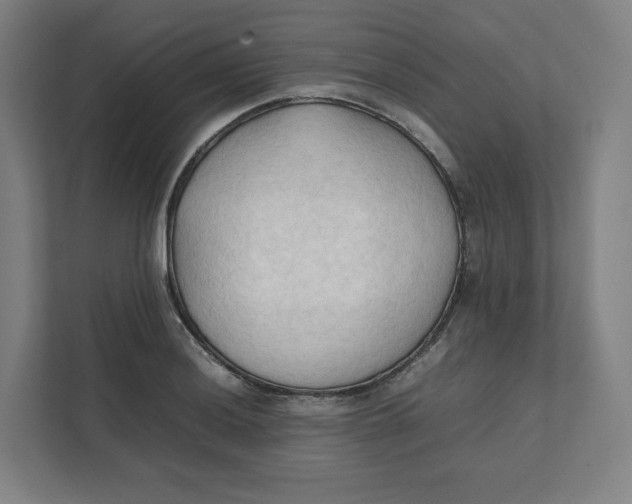 X0000111951036200908171313