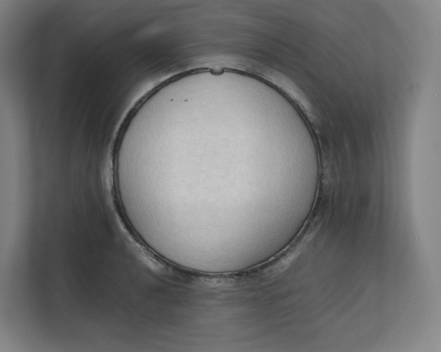 X0000111951040200908171313