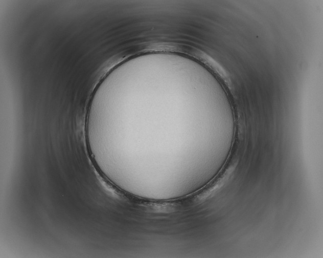 X0000111951041200908171313