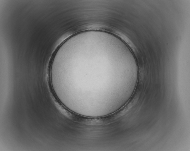 X0000111951042200908171313