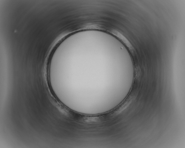 X0000111951043200908171313