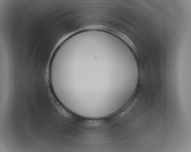 X0000111951044200908171314