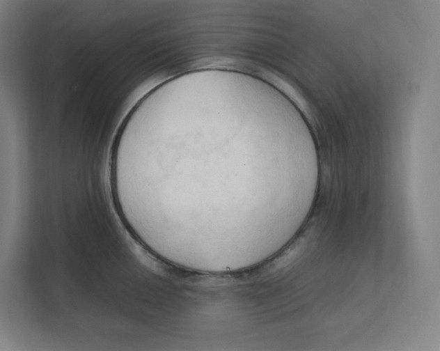 X0000111951050200908171314