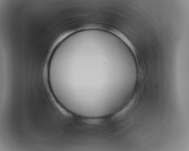 X0000111951053200908171314