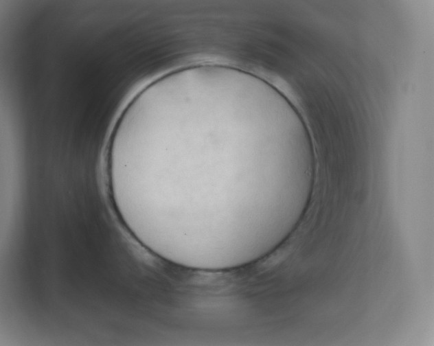 X0000111951056200908171314