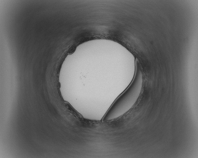 X0000111951057200908171313