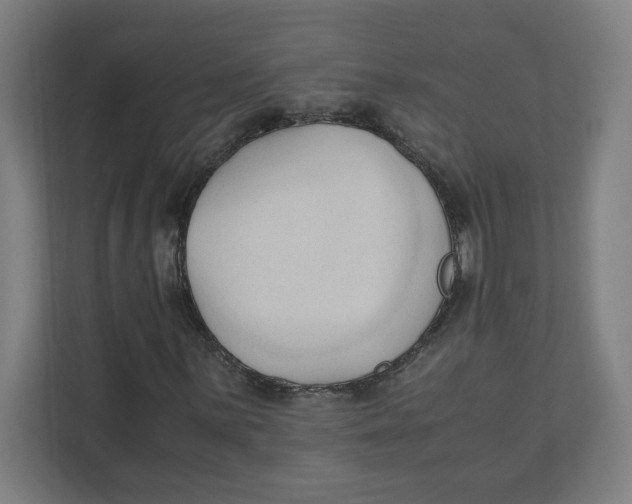 X0000111951059200908171313