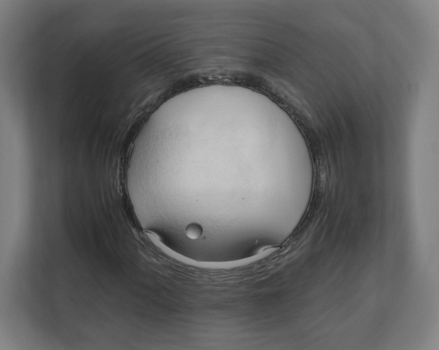 X0000111951060200908171313