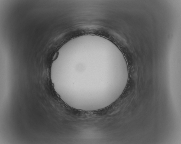 X0000111951061200908171313