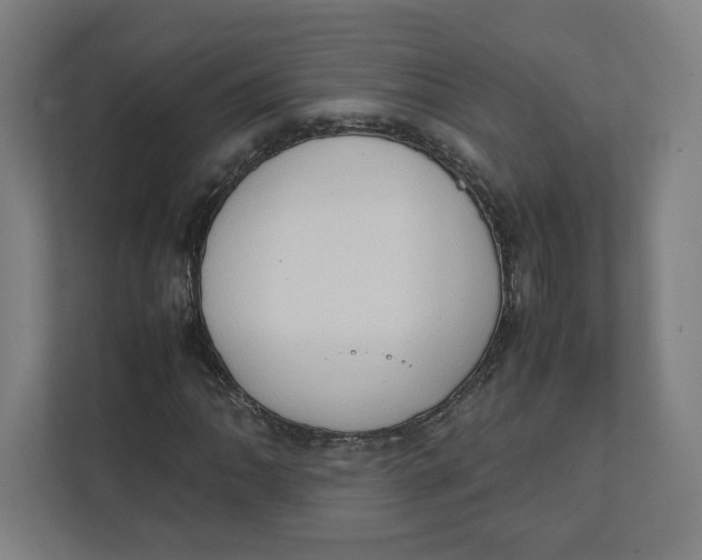 X0000111951062200908171313