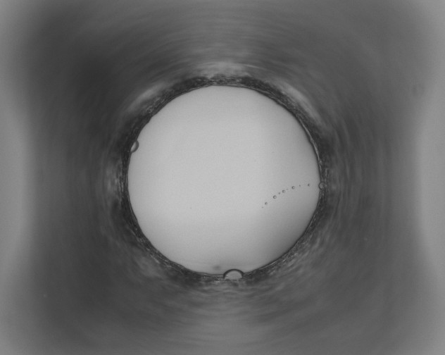 X0000111951063200908171313