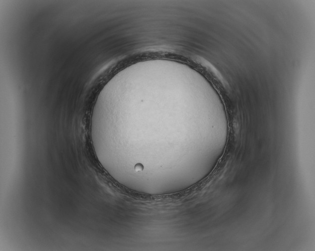 X0000111951064200908171313