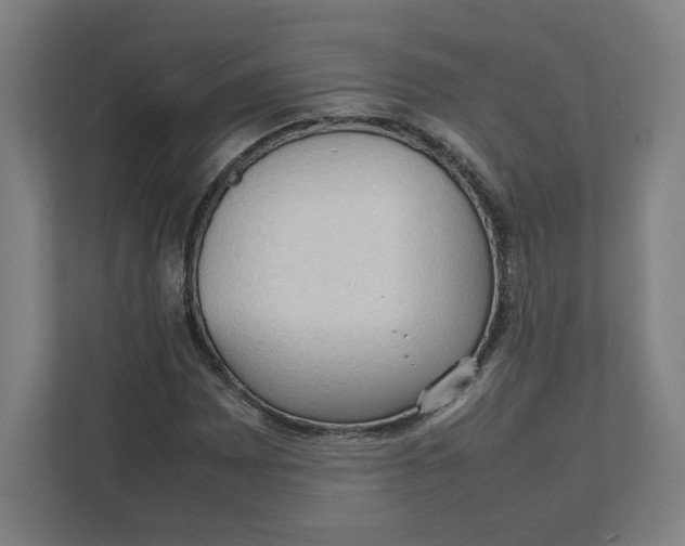 X0000111951065200908171313