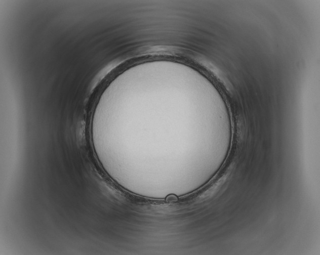 X0000111951066200908171313