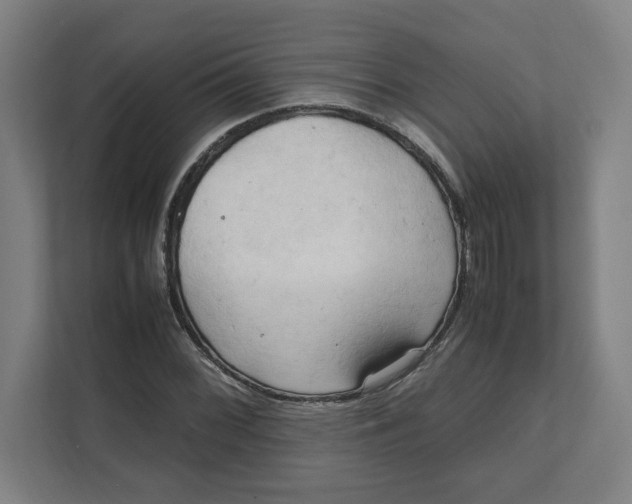 X0000111951068200908171313