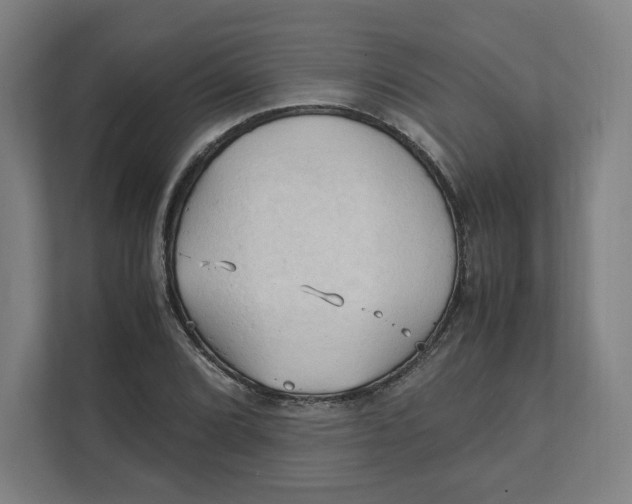 X0000111951072200908171313