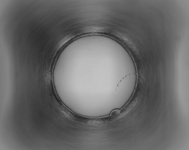 X0000111951073200908171313