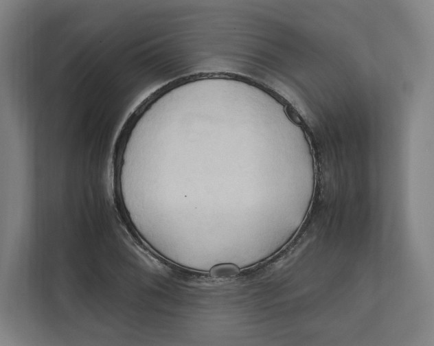 X0000111951076200908171313