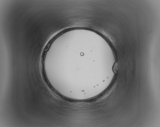 X0000111951077200908171313