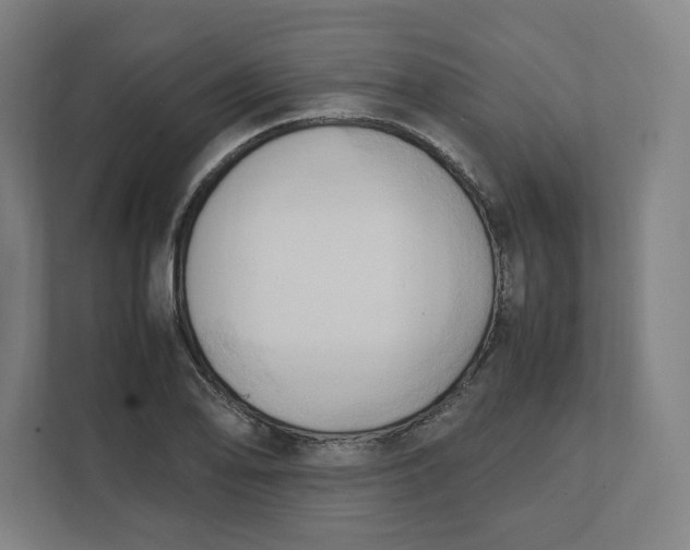 X0000111951078200908171313