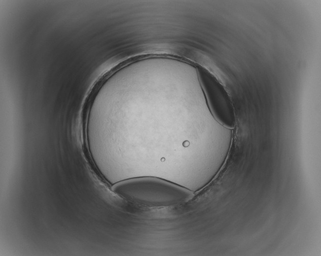 X0000111951080200908171313