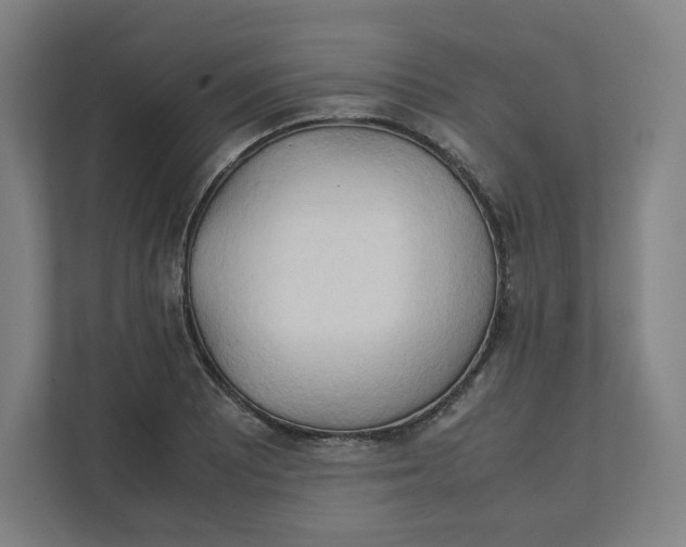 X0000111951081200908171313