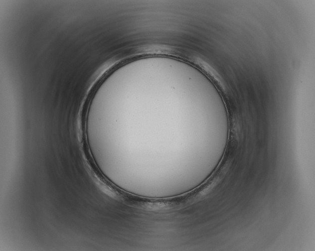 X0000111951082200908171313