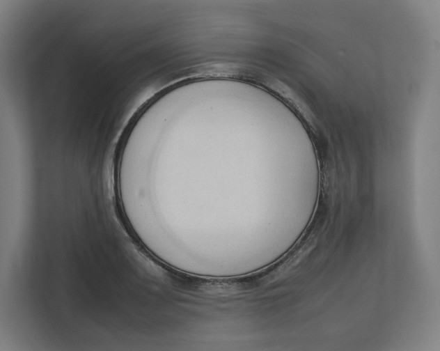 X0000111951083200908171313