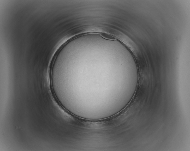 X0000111951084200908171313