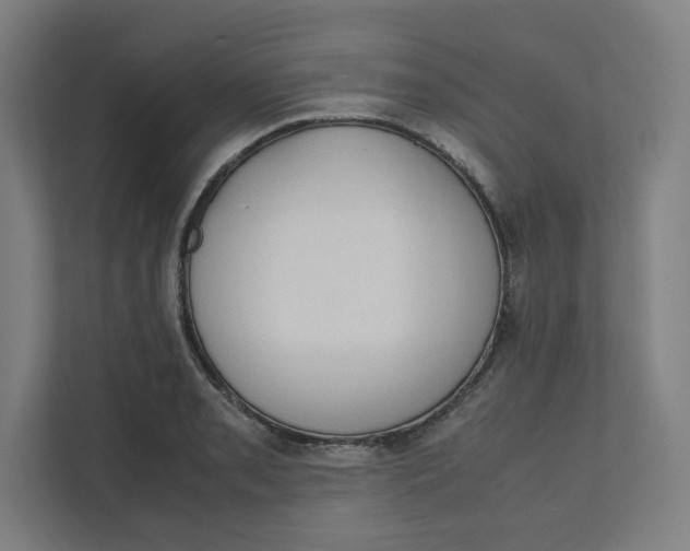 X0000111951085200908171313