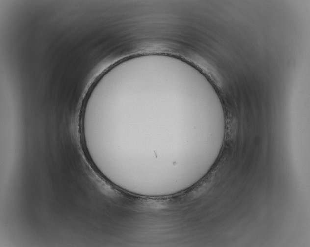 X0000111951086200908171313