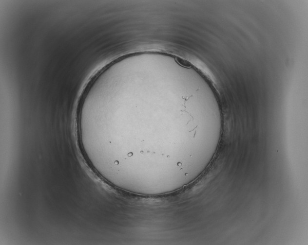 X0000111951088200908171313