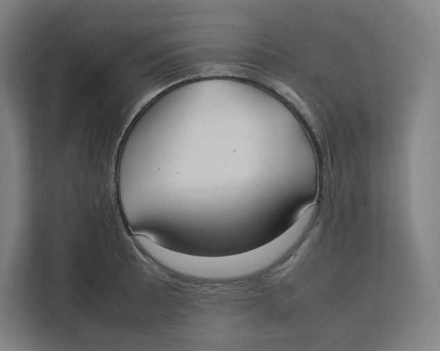 X0000111951089200908171313