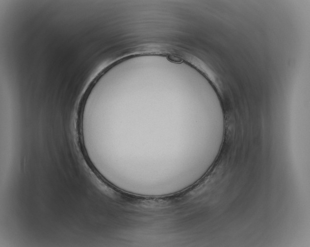 X0000111951091200908171313