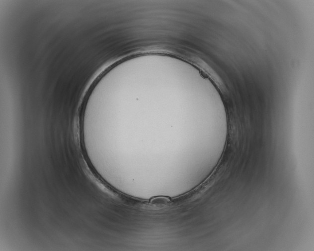 X0000111951092200908171313