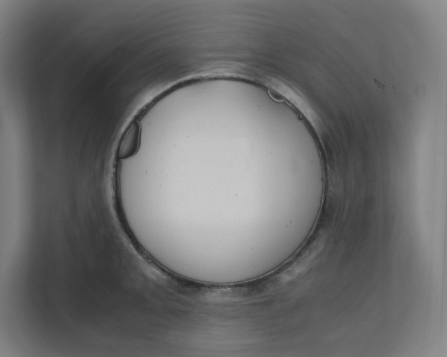 X0000111951093200908171313