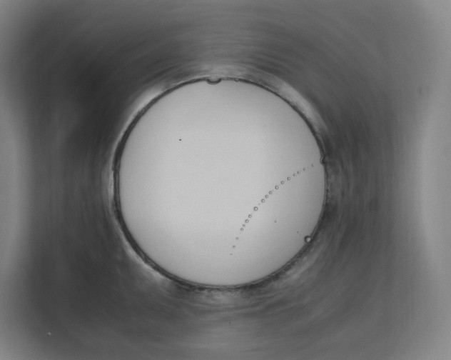 X0000111951095200908171313