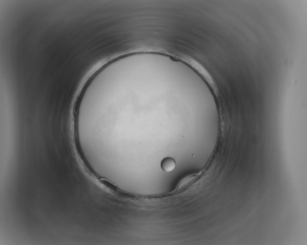 X0000111951096200908171313