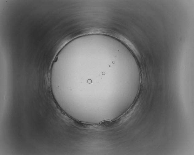 X0000111951097200908171313