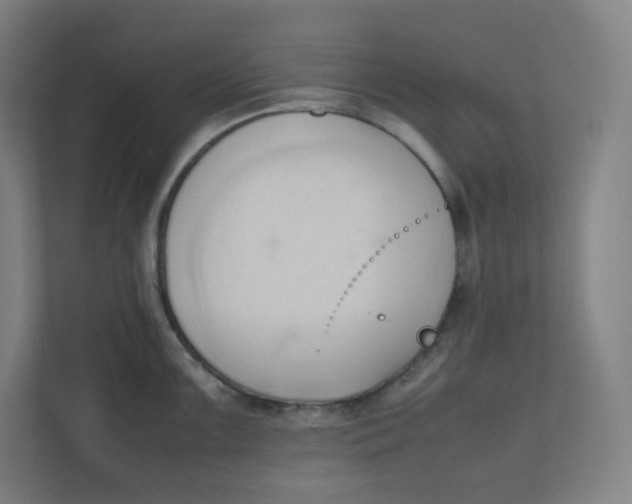 X0000111951099200908171312