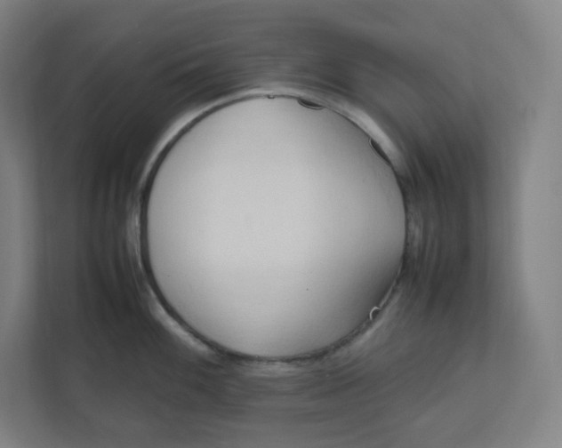 X0000111951100200908171312