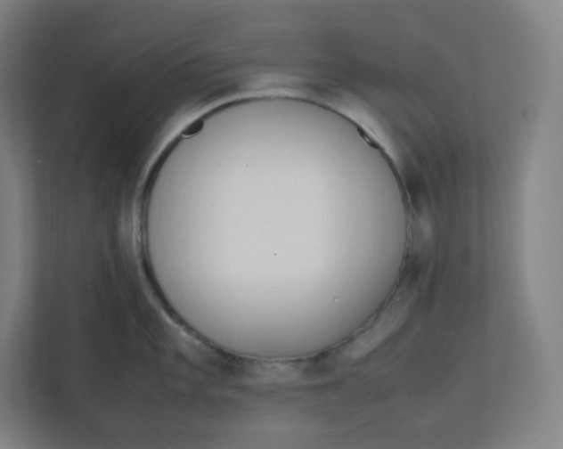 X0000111951101200908171312