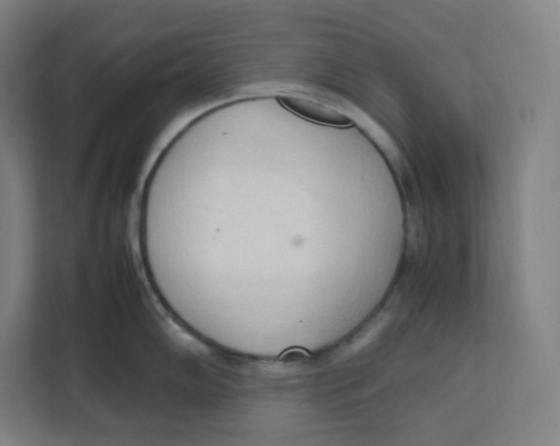 X0000111951102200908171312