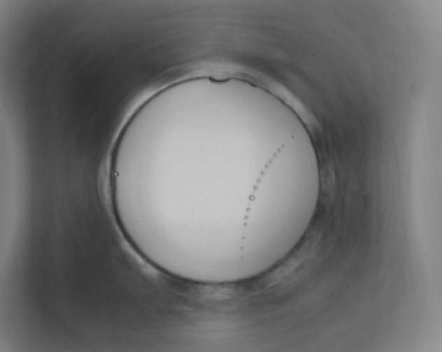 X0000111951103200908171312