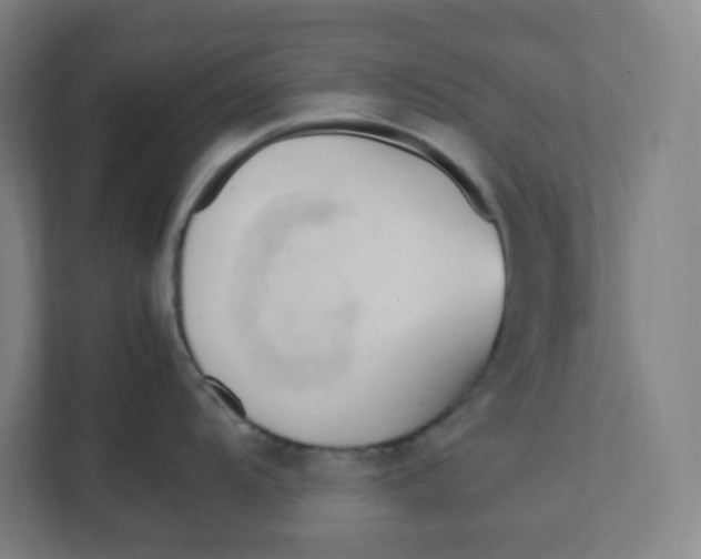 X0000111951104200908171312