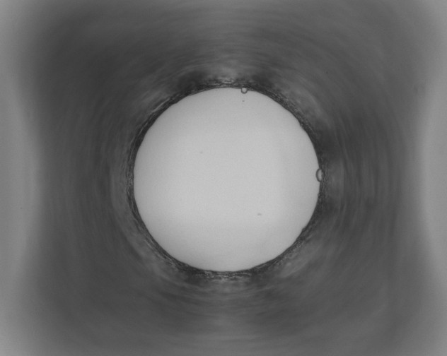 X0000111951105200908171312