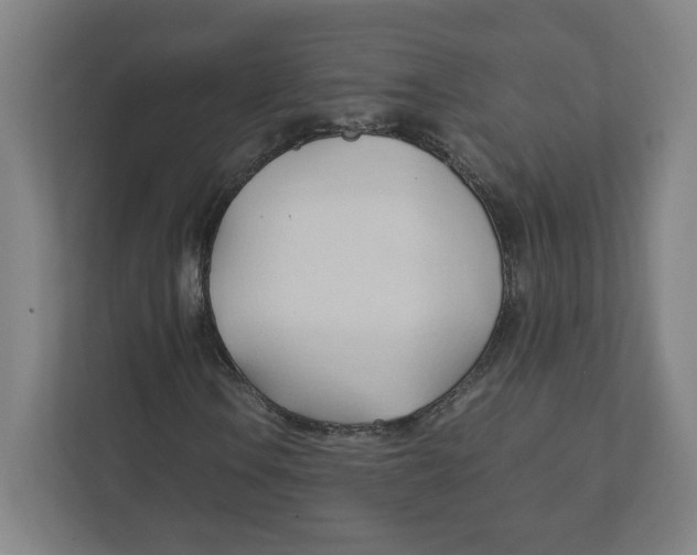 X0000111951106200908171312